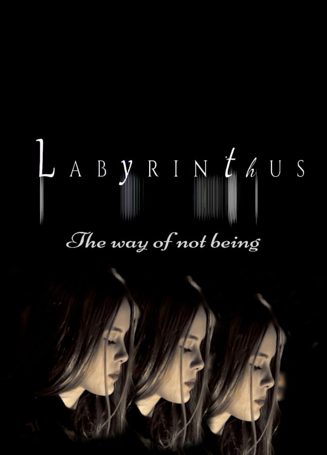 迷宫：不存在的方式