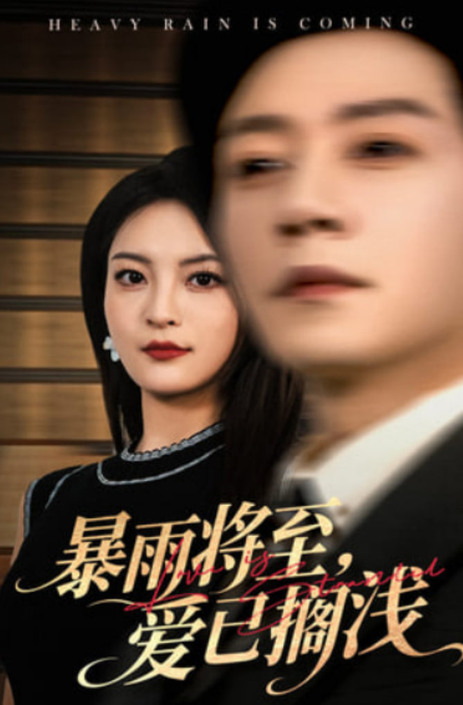 暴雨将至爱已搁浅(全集)