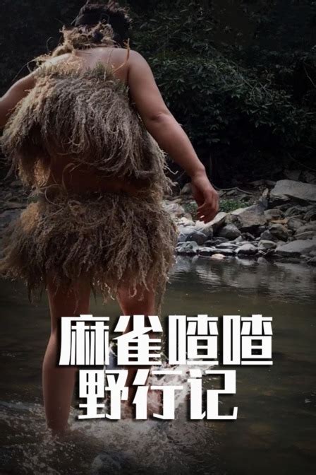 麻雀喳喳野行记之东南亚丛林一百天(全集)