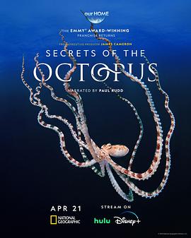 章鱼的秘密(全集)