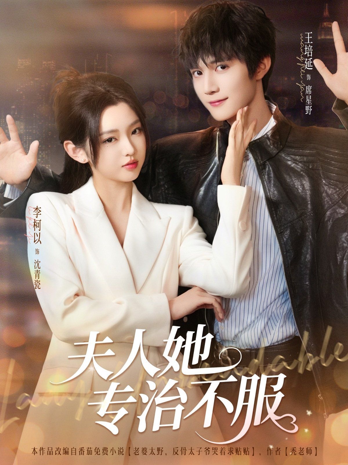 夫人她专治不服(全集)